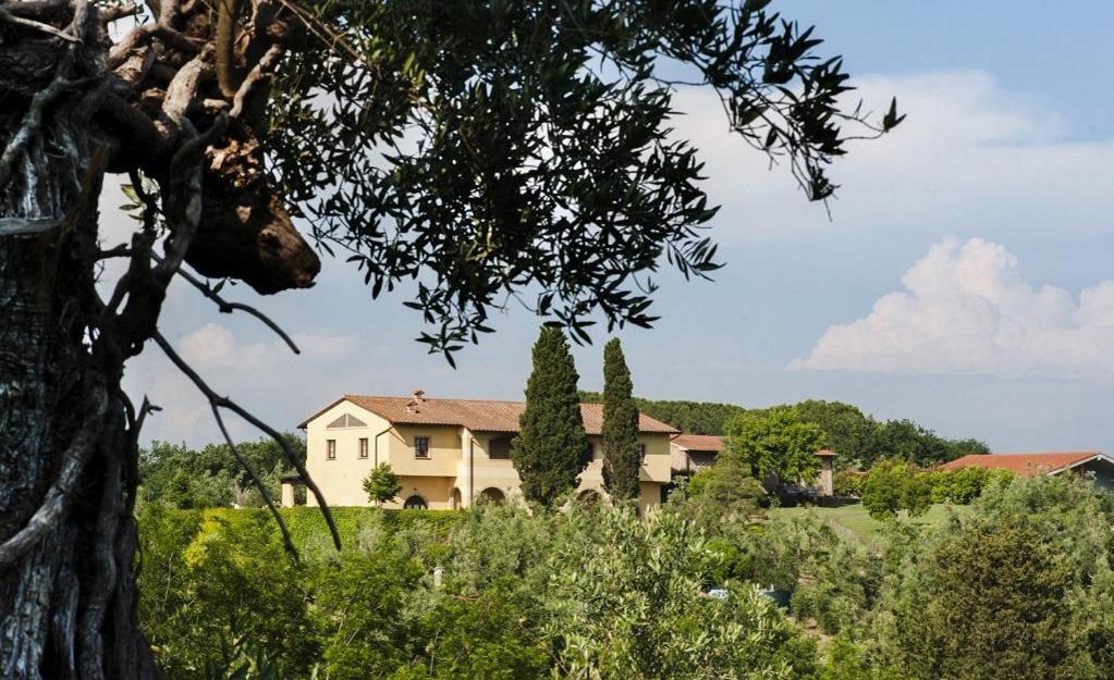 فيلا Agriturismo L'Antica Fornace Peccioli المظهر الخارجي الصورة